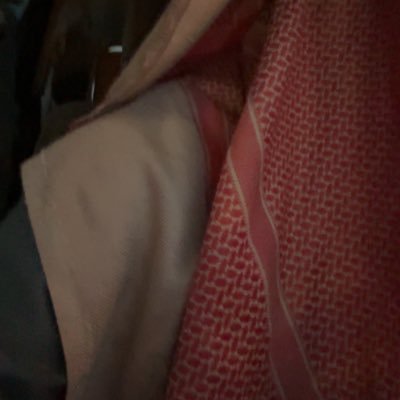 ve1n01's profile picture. 