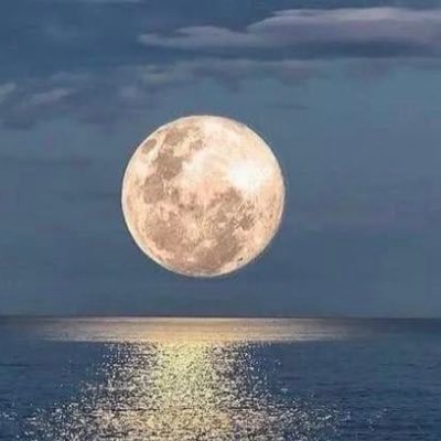 carolmontmurra's profile picture. Proud Scot 🏴󠁧󠁢󠁳󠁣󠁴󠁿