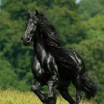 chicohot712's profile picture. 