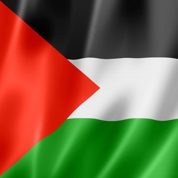 TahirFarman1's profile picture. 