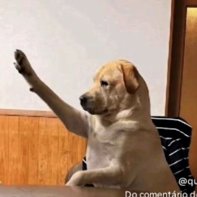 Foxy_rainfire's profile picture. Só uma pessoa qualquer postando algumas coisas qualqueres