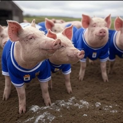 AlbertosalaAs's profile picture. 