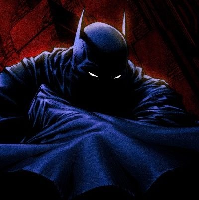 Wings0fHaven's profile picture. *DICK GRAYSON BTW NOT BRUCE* | Guardian of Blüdhaven | Leader Of The Titans | Formerly Robin | Temporarily Batman.