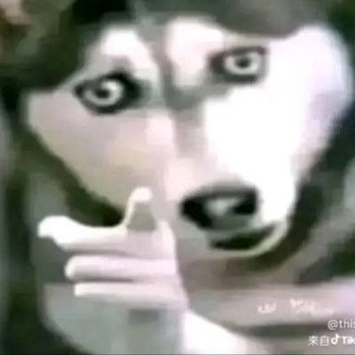 rim_babosa Profile Picture