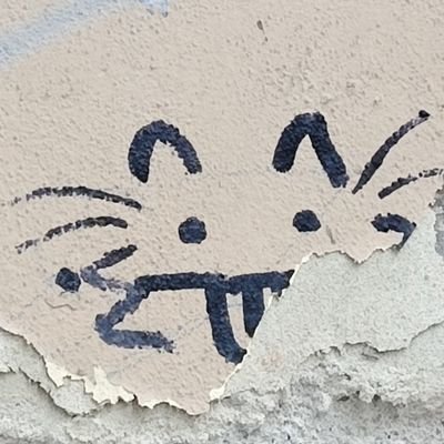 mezimuziklenot's profile picture. ztělesněné dramatično 🏳️‍⚧️ transfag, on/jeho