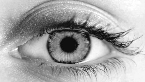 derdetektiv's profile picture. BLOG von der detektiv - Fachzeitschrift f.d. Sicherheitsgewerbe: Infos für Berufsdetektive und Private Ermittler