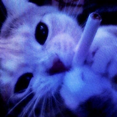 beau_delirium's profile picture. quite unusual, quite uncanny