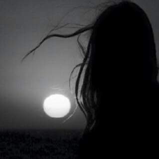 AlwrdSltan27629's profile picture. 