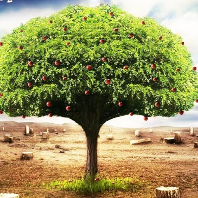 AmirO674812's profile picture. Enjoy life and explore content