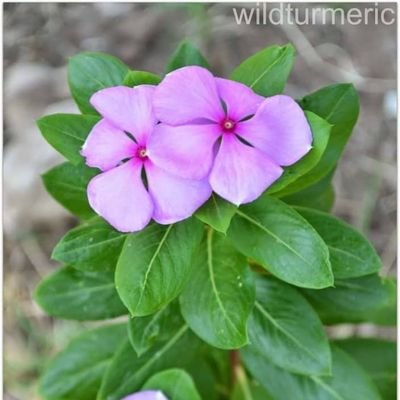 yatiabbaka51347's profile picture. 