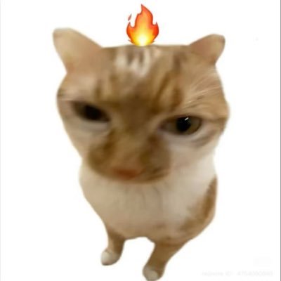 lisinaplussipv's profile picture. 