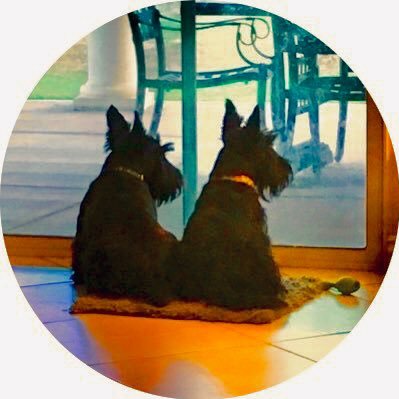 Flaaaaalala's profile picture. Southerner, love my family ❤ 'Don't take life so serious, son. It ain't nohow permanent.' ~ Pogo