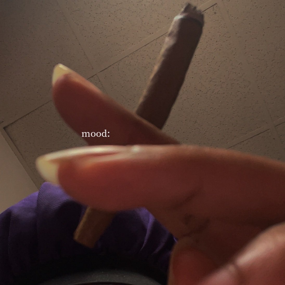 Breannarxy's profile picture. 