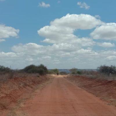 Ephymann's profile picture. Patriotic Kenyan.