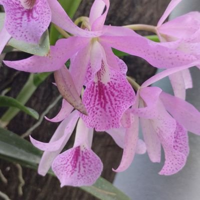 ylugo110's profile picture. 