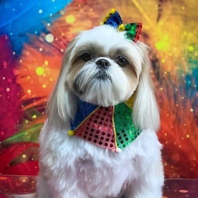 maiconmengo38's profile picture. 