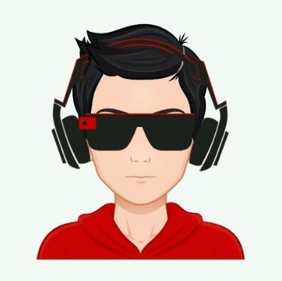 CicchettiN49369's profile picture. 