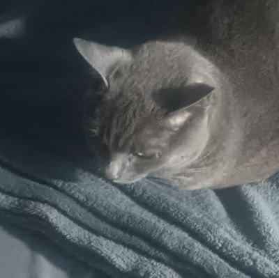 polticaaqu35509's profile picture. Só falo de política aqui.