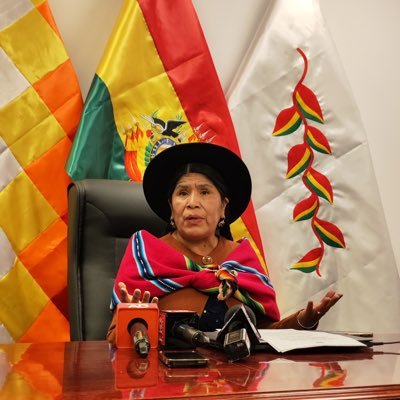 Activista Indígena, Defensora de Derechos Humanos y Colectivos, y Diputada Nacional