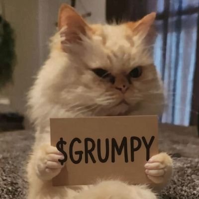 @_GrumpyKitty_