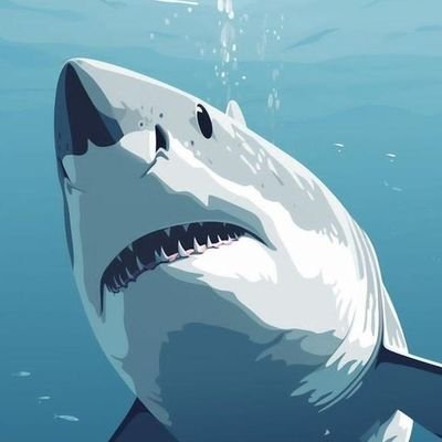 COME AND SWIM WITH THE SHARKS THERES LOADS ON HERE
YOU WILL GET BITTEN
