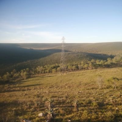 MattWasTaken0's profile picture. 