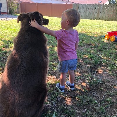 Chriscnotafed's profile picture. Mass deportation enthusiast. White identitarian. Chemist. Working to ensure the existence of our people and a future for our White children. Christ is Lord.