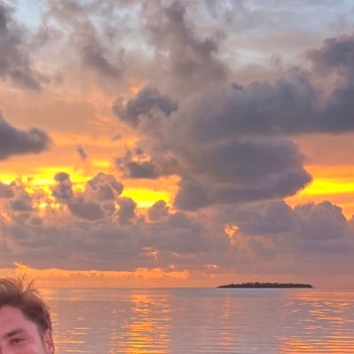 Laboflex's profile picture. MA|FL|TX - Enterprise SaaS Expert