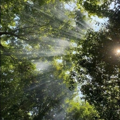 kitjull's profile picture. Me and other things