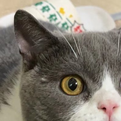 szymansky22903's profile picture. 