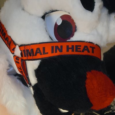 Knottyyeener's profile picture. 27 | he/him ⚣︎| @sketchyeen ad 🔞18+🔞 | Digimon ☆enthusiast☆ | severe ass eating addiction