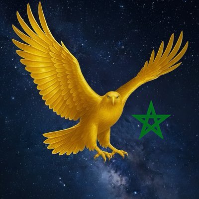 medhssaine's profile picture. 