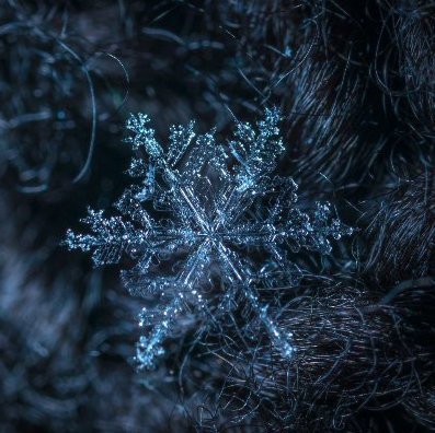 DemattosEl17222's profile picture. 