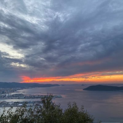 ks90624005's profile picture. 地方大学生 (20)