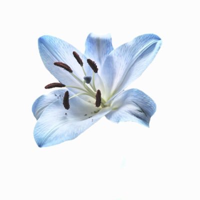 HafeezFaryal's profile picture. 