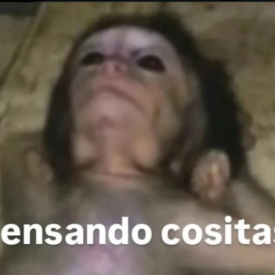 Alexleche0's profile picture. Leche y azúcar pal café