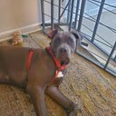 Slate - @bs124016 - Twitter