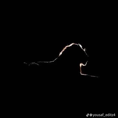 GimbiyaMa94270's profile picture. kinkiest dugnotin freak. HD files available