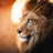 Jehovahjirah7's profile image