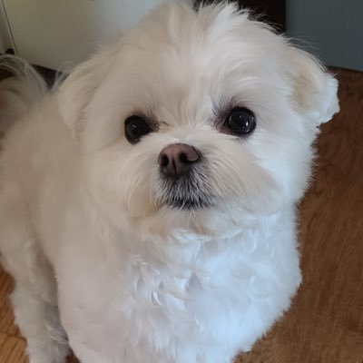 jooyoung_bae's profile picture. 