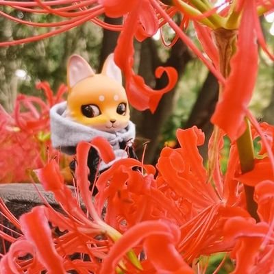 ゆいなすさんのプロフィール画像