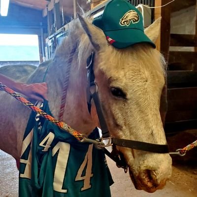 AndStallions's profile picture. Support taking America back from the asylum!  Temple U, StL Cardinals, Phila Eagles, Flyers,🐴🐎🐎🇺🇦  
@maresandstallions.bsky.social