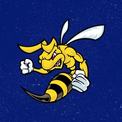 Liga das Engenharias da Universidade Federal de Goiás 🐝 Heptacampeão do TECO ⭐⭐⭐⭐⭐⭐🌟 Campeão JUC 23 🌟