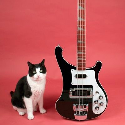 mpastahu's profile picture. 𝖆𝖘𝖘𝖔𝖈𝖎𝖆𝖟𝖎𝖔𝖓𝖊 𝖈𝖆𝖑𝖈𝖎𝖔 𝖒𝖎𝖑𝖆𝖓 (lll+) ll 𝐉𝐀𝐌𝐄𝐓 ll 🅱🆄🅹🅰🅽🅶 🅱🅰🅿🆄🅺 ll jawir