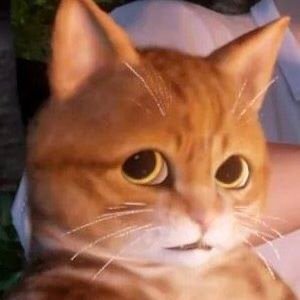 Jsmysnow's profile picture. 