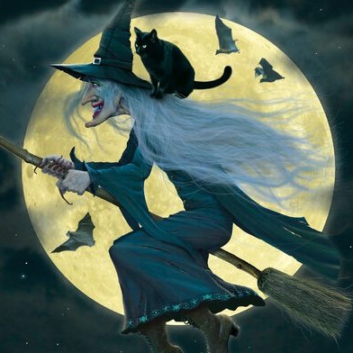 eieMaggieWall's profile picture. There is no forgiveness