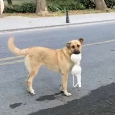 SinghSudhit's profile picture. 