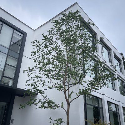 YANGXIAORYAN's profile picture. Offering a critical range of products including graphene, graphene oxide, carbon fiber, carbon nanotubes, silicon nanopowder, etc.