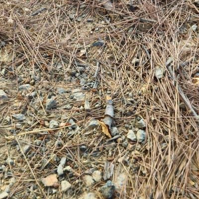 Hac61601778's profile picture. A