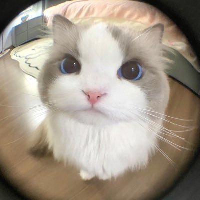 ❤️これは私の別のアカウントです。フオロフ-はDM返す❤️